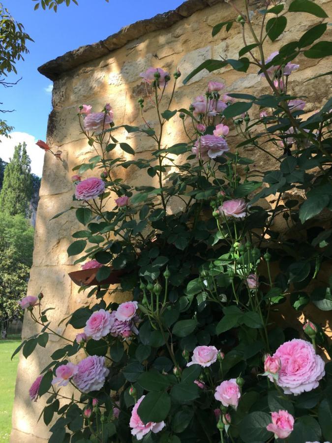 Bed and Breakfast Par La Riviere La Roque-Gageac Zewnętrze zdjęcie
